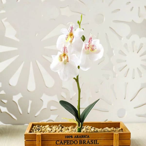 DIY Artificial Plant Flower Artificial Plant Mini Phalaenopsis Artificial Flower DIY Creative Props Flower Arrangement Accessories Artificial Plant