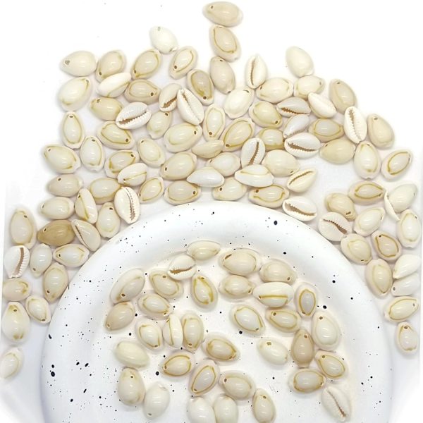 160 st kaurisnäckor berlocker 160 st gula Conch