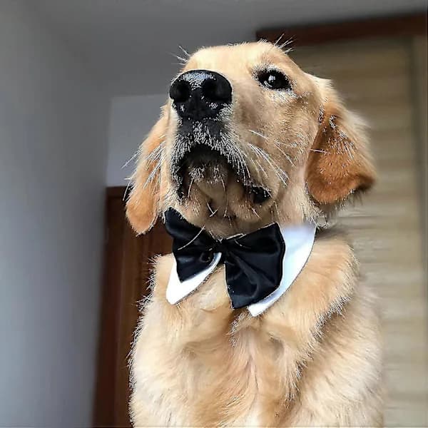 [EN] Dog Bow Tie Wedding Dog Collar Pet Collar Adjustable Bow Tie Suitable
