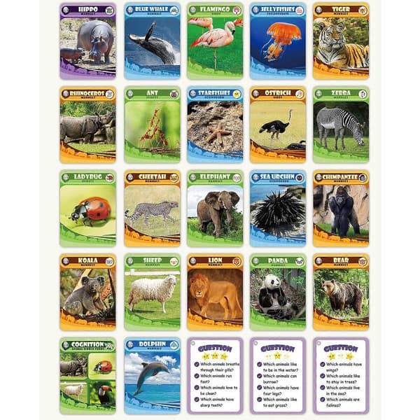 50 stk. Dyre-flashcards til småbørn, realistisk pædagogisk sæt