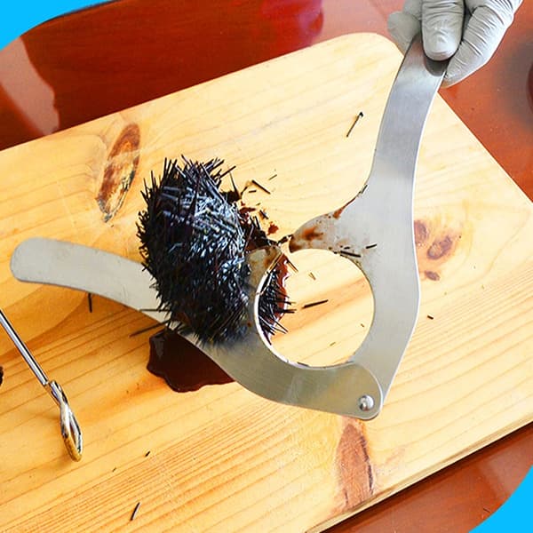 Sea Urchin Scissors in Stainless Steel, Multifunctional Seafood Tool