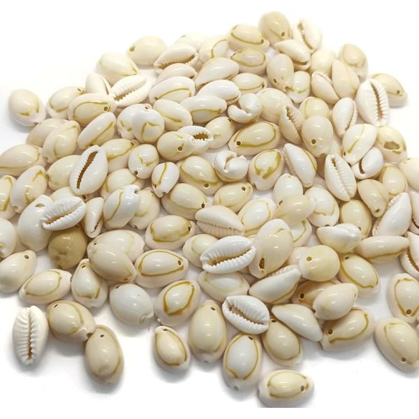 160 st kaurisnäckor berlocker 160 st gula Conch