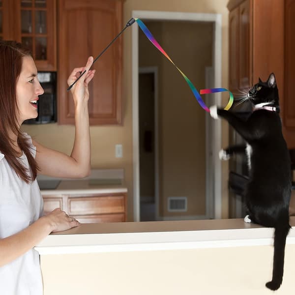 Kattestav Interaktiv Leke, 5 Fargerike Stoffer