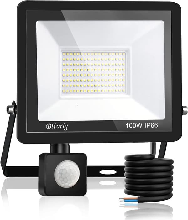 100W Utomhus Rörelsesensor LED Strålkastare 10000LM IP66 Vattentät för Trädgård (6000K)[JUN]