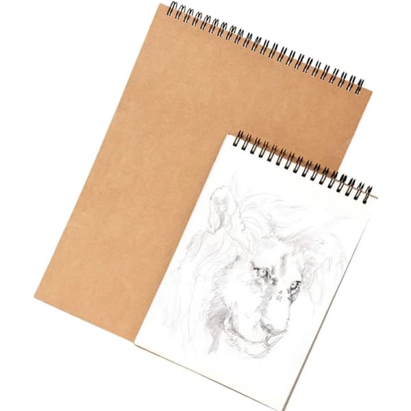 Sketchbook Set, Spiral Bound Hardcover 160g Kraft Paper Sketch Pad for Artists and Sketching, A4 A5, 2-Pack