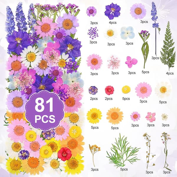 81 stykker tørrede blomster, naturlige tørrede blomster, blandede pressede tørrede blomster, små farverige pressede blomster