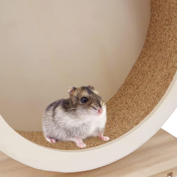 Små kæledyr træningshjul hamster træ lydløst løbehjul legetøj