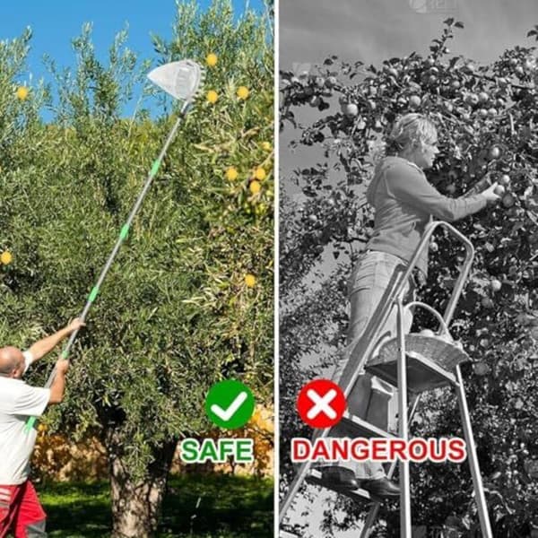 Apple picker with telescopic handle 4m Fruit picker with 10 lightweight stainless steel poles and cotton bag Compatible with apple