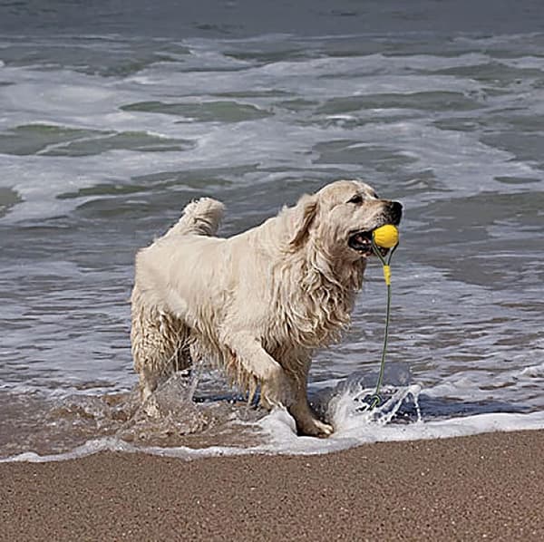 Koppel Hundebold, Skum Hundetræningsbold, Flydende Hundebold, Lille