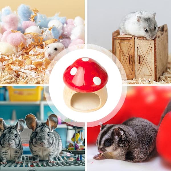 Keramisk Hamster Gemmested | Kæledyrsbur til Hamster | Kæledyrsbolig til Hamster, Køligt Hus, Kæledyrs Hamster Gemmested Bur, Svampeformet Komfort