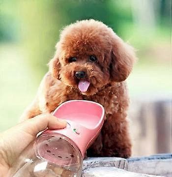 Vannflaske for hund / Hundeflaske 350ml - Hvit Hvit
