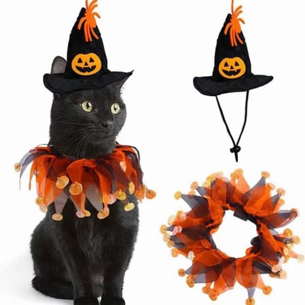 Viihdemaskeradevaatteet lemmikeille - Halloween
