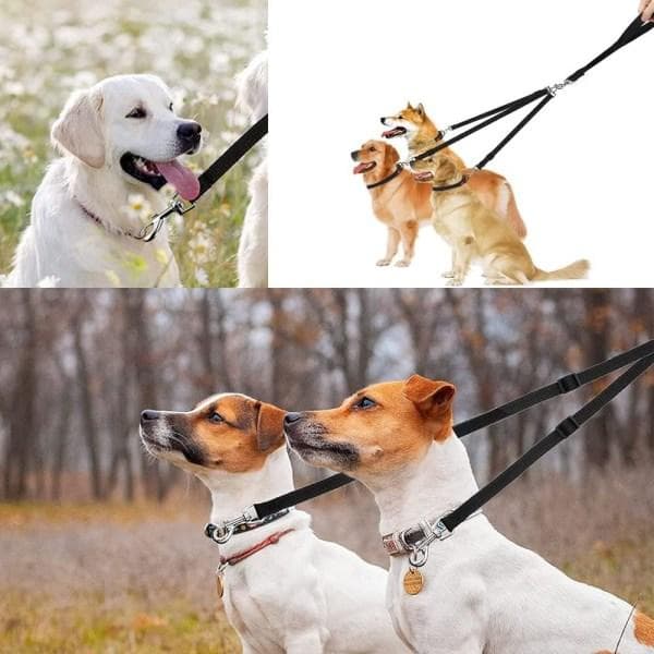 Galaxy Leaf 3-in-1 Dog Leash, Adjustable Leash, Detachable Dog Leash, Jogging Leash for Medium Dogs