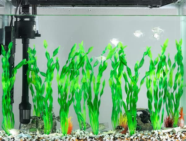 10 stk. akvarieplanter - kunstig tang - 30 cm - grøn