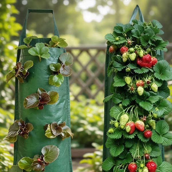 Hängande odlingspåsar designade för jordgubbar, tomater, grönsaker, blommor, utomhusträdgård med utmärkt luftflöde, 2-pack