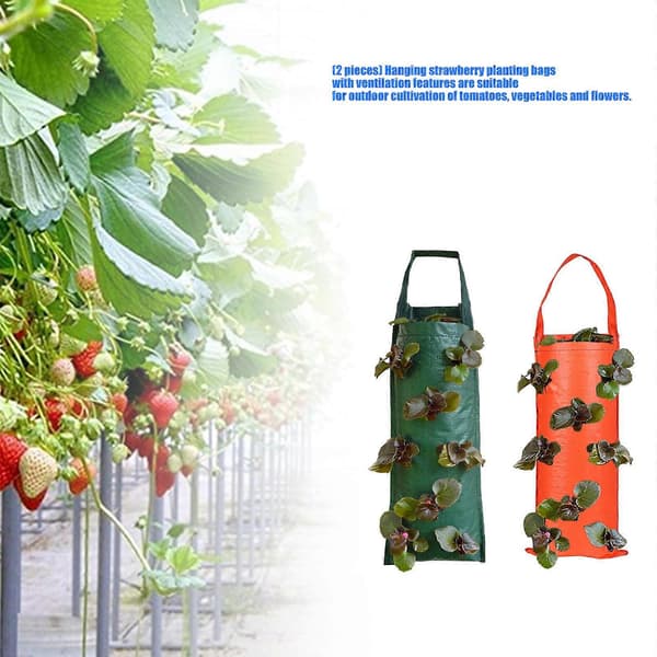 Hängande odlingspåsar designade för jordgubbar, tomater, grönsaker, blommor, utomhusträdgård med utmärkt luftflöde, 2-pack