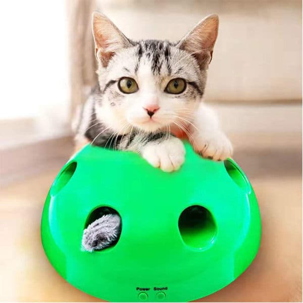 Interactive Cat Toy, Motorized Peek-a-Boo Play with Mouse and Fairy