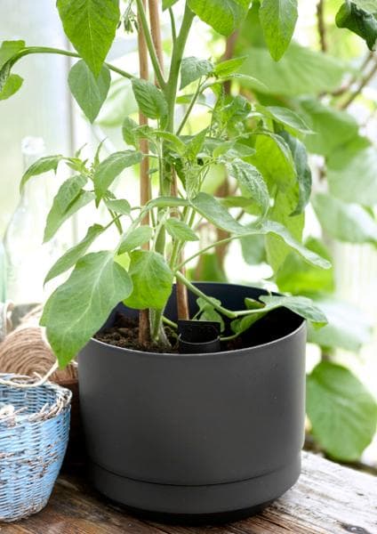 Pot with long-term watering. ø 17 cm White Paulina Orthex Vit white