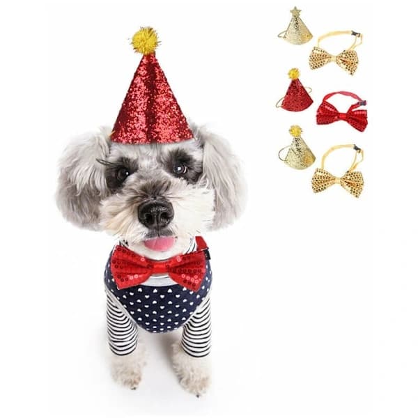 Kæledyrsjulebue, julehat til hund, kostume til små og mellemstore katte og hunde, julerød hat og rød bue - guldhat og guldbue