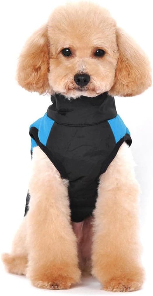 Pet Winter Clothes - Blue S, Coat in