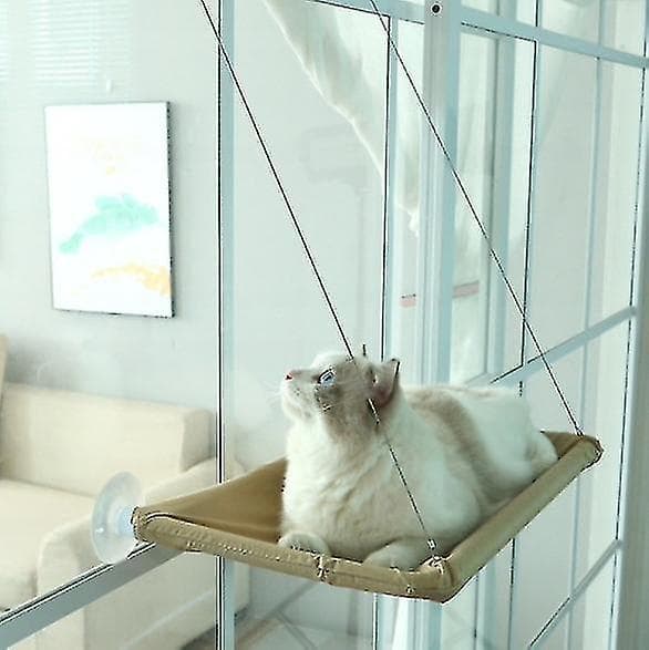 Cat Suction Cup Hammock Is Removable And Washable
