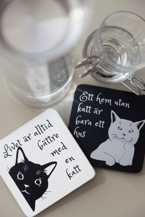Lasinaluset kissa eri teksteillä laatikossa, 4 kpl/laatikko Svart black