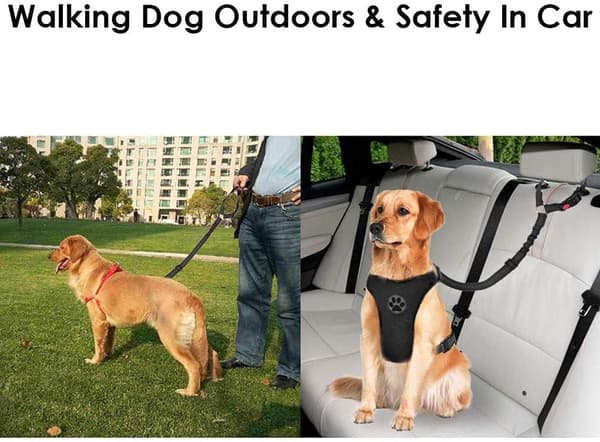 Hundeseler til biler - Justerbar hundesele til bil - Elastisk kæledyrssele til hunde, katte og kæledyr (SORT).