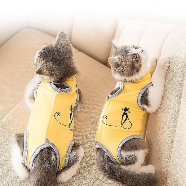 Cat Surgical Recovery Suit, Abdominal Wound Healing Post-Surgery, Cat Surgery Recovery Suit