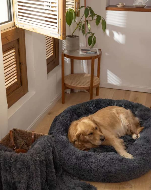 Rund pude 50 cm kæledyrsseng pude til kattekurv hundekatteseng Rou