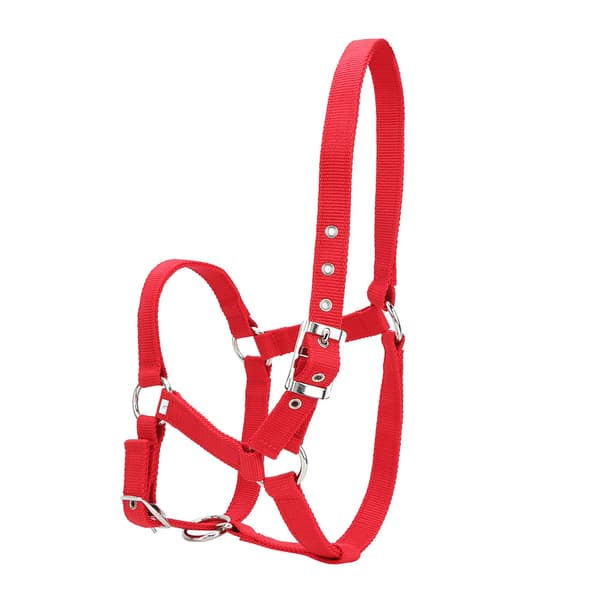 Red 6mm Thickened High-Density Webbing Horse Bridle Control Halter Riding Accessories