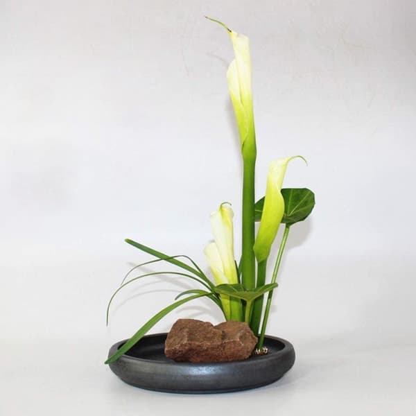 Rund Blomsterholder / Blomsterfakir med Gummibase - Blomsterdekoration - Sort Sort