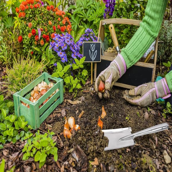 Hagespade i rustfritt stål, liten hagespade, perfekt for planting, omplanting, luking, graving