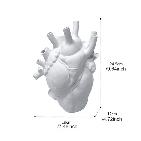 Hjärta Resin Blomkruka Anatomisk Hjärta Form Staty Kreativt Hantverk Ornament För Hem Vardagsrum Balkong Dekoration Vit L White