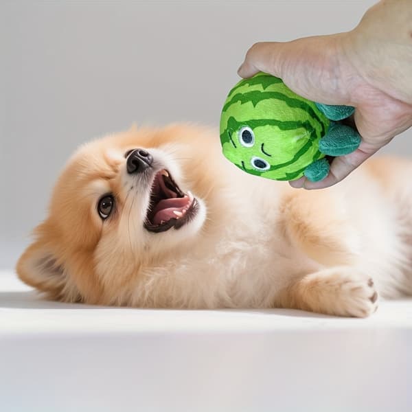 1 söt vattenmelonformad plyschleksak för hundar - mjukt och fluffigt material Smiling Expression