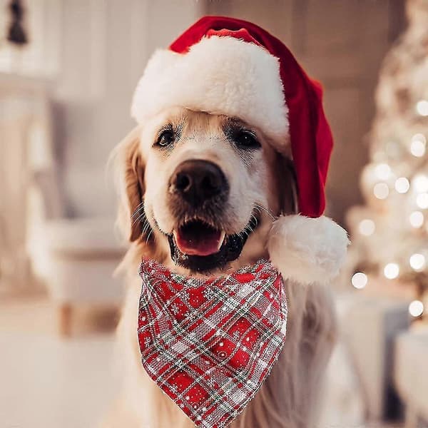 Hunde bandanaer til hunde og katte - 38*38cm