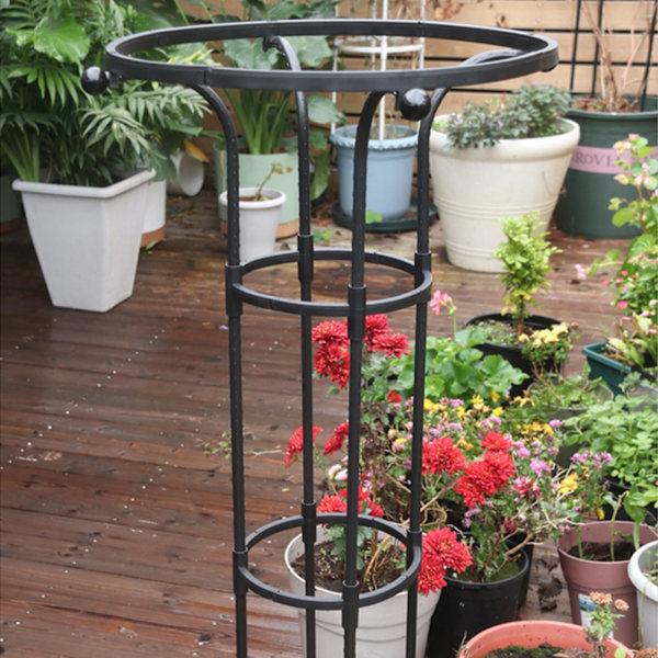 Enkel cirkelformad spaljé för växter - svart, höjd 185 cm, cirkeldiameter 28 cm