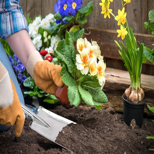 Trädgårdsspade i rostfritt stål, liten trädgårdsspade, perfekt för plantering, omplantering, ogräsrensning, grävning