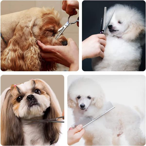 Hundesaks med avrundede sikkerhetstupper (sett med 4)