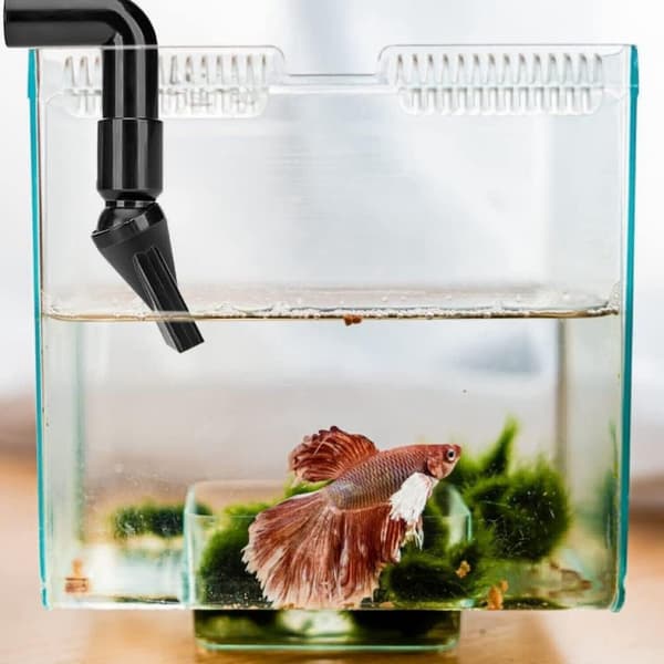 Akvariemunstycke, Akvariepumpmunstycke Anknäbbsmunstycke Vattenutlopp Returrörskoppling Akvariedolly med Platt Munstycke - 5 st