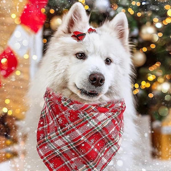 Hunde-bandanaer for hunder og katter - 38*38cm