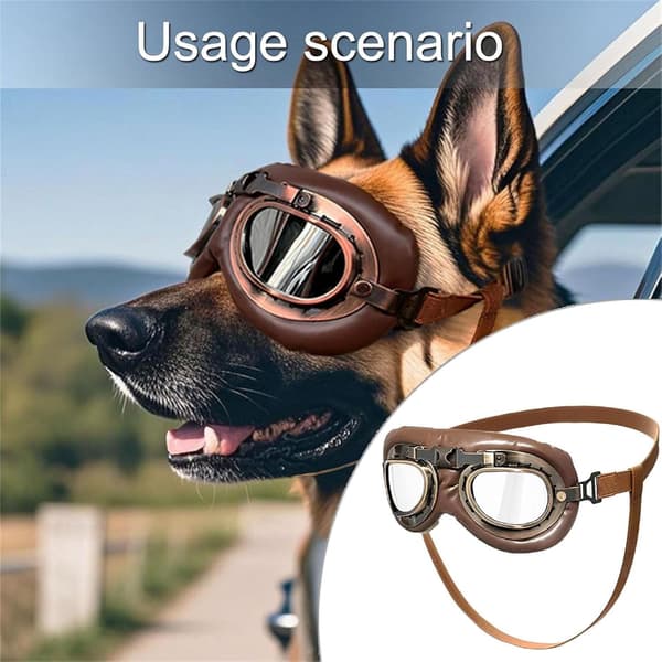 Hundebriller, sikkerhedsbriller specielt designet til mellemstore til store hunde