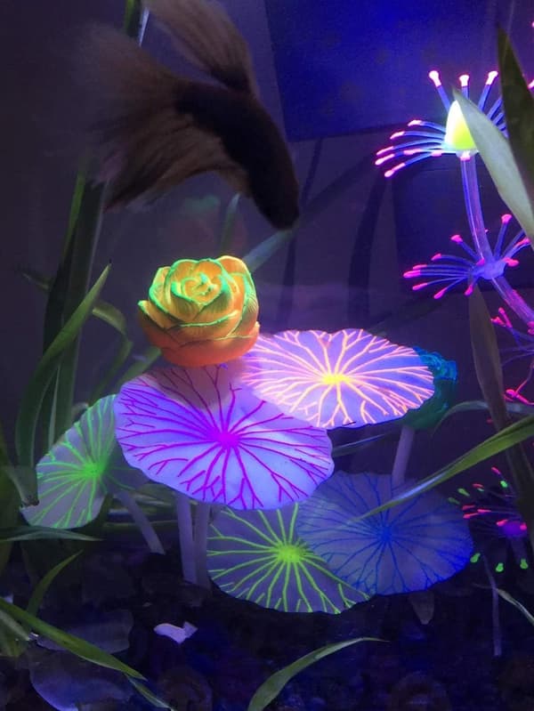 Lotus Akvariedekorasjon - Silikon Akvariedekorasjon