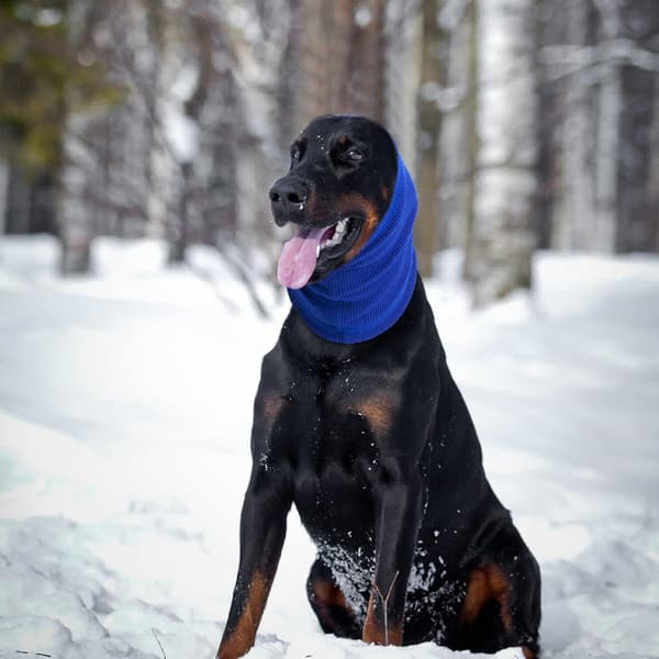 Hunde-ørekopper, Hunde-ørekopper Hundetrøje til støjbeskyttelse Angstdæmpende Beroligende Hals- og Ørevarmere til hunde og katte (Blå, Medium)