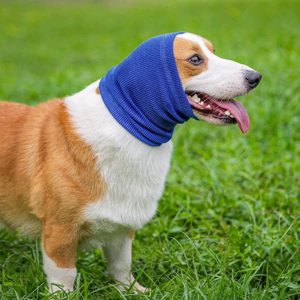 Hunde-ørekopper, Hunde-ørekopper Hundetrøje til støjbeskyttelse Angstdæmpende Beroligende Hals- og Ørevarmere til hunde og katte (Blå, Medium)