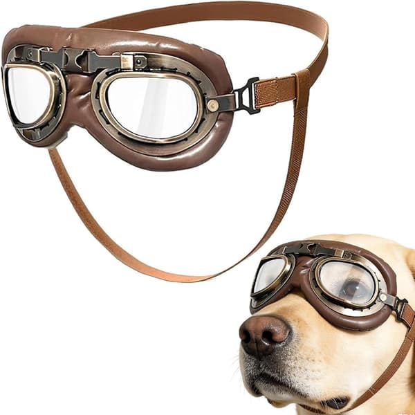 Hundebriller, vernebriller spesielt designet for mellomstore til store hunder