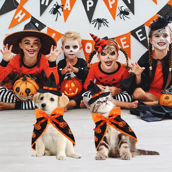 Halloween kæledyrskostumer Troldmandskostumer til katte Sjov troldmand C Pink