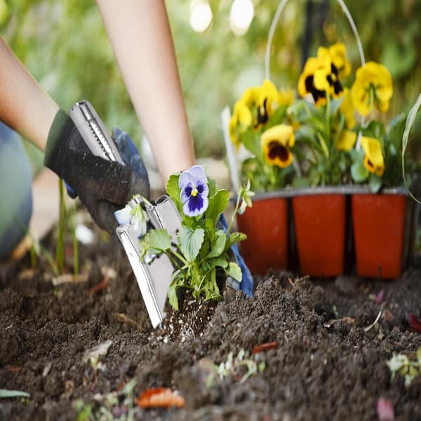 Hagespade i rustfritt stål, liten hagespade, perfekt for planting, omplanting, luking, graving
