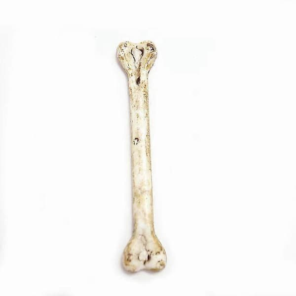 st Mini Skull Bone Scary Party Decorations for Home Table Resin Ghost Skeleton Head Haunted House Horror Props 10cm 5pcs
