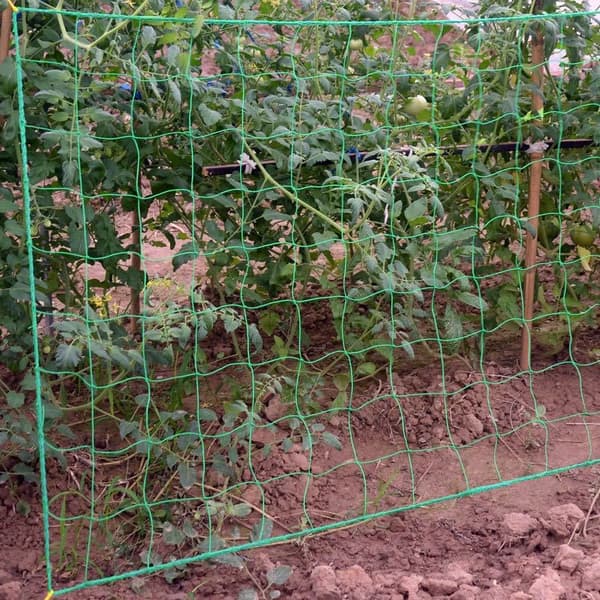 Stort klatrenett for klatreplanter – Forbedret versjon 2*8m