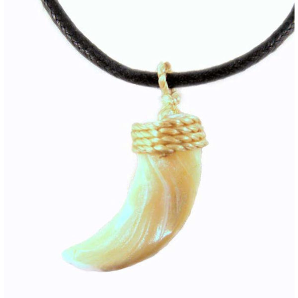 Halsband Snäcka